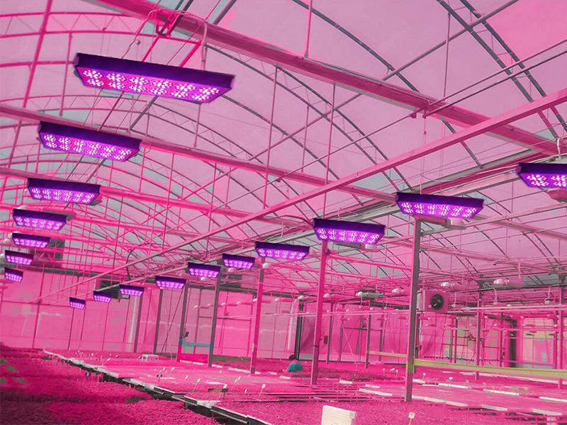 Customized Advanced Thermal Solutions Lori heat sink